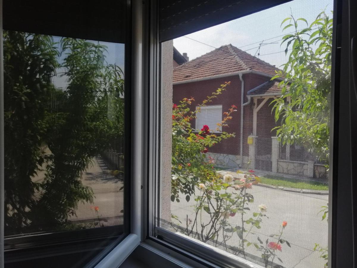 Nana * Jagodina