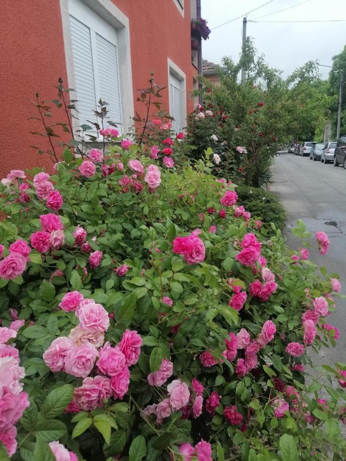 Nana Apartment Jagodina