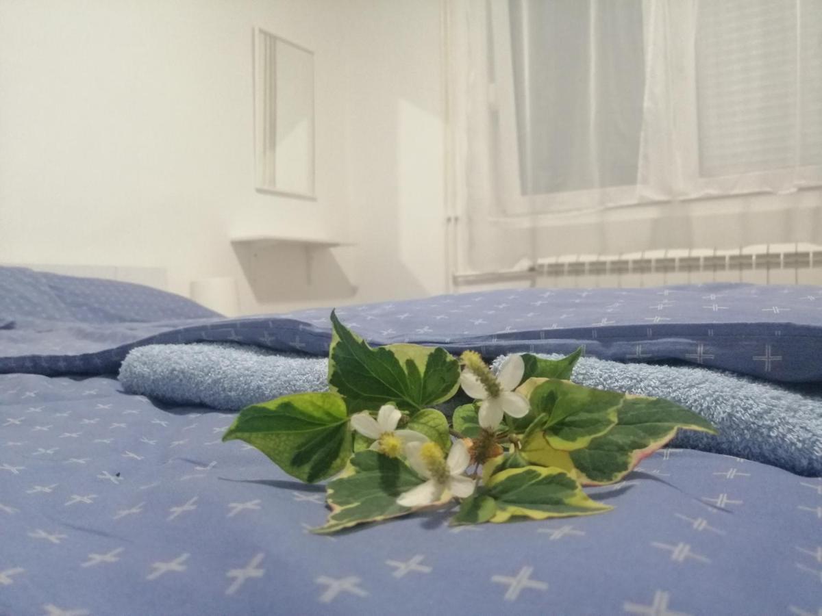 Nana Apartment Jagodina